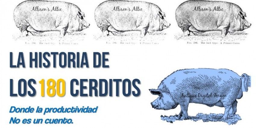 rampa carga y descarga porcinos